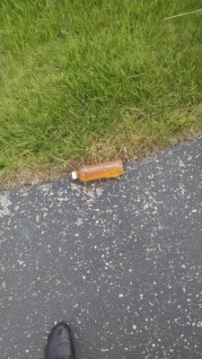 orange.jpg